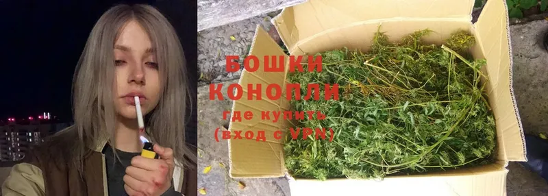 Марихуана OG Kush  Краснозаводск 